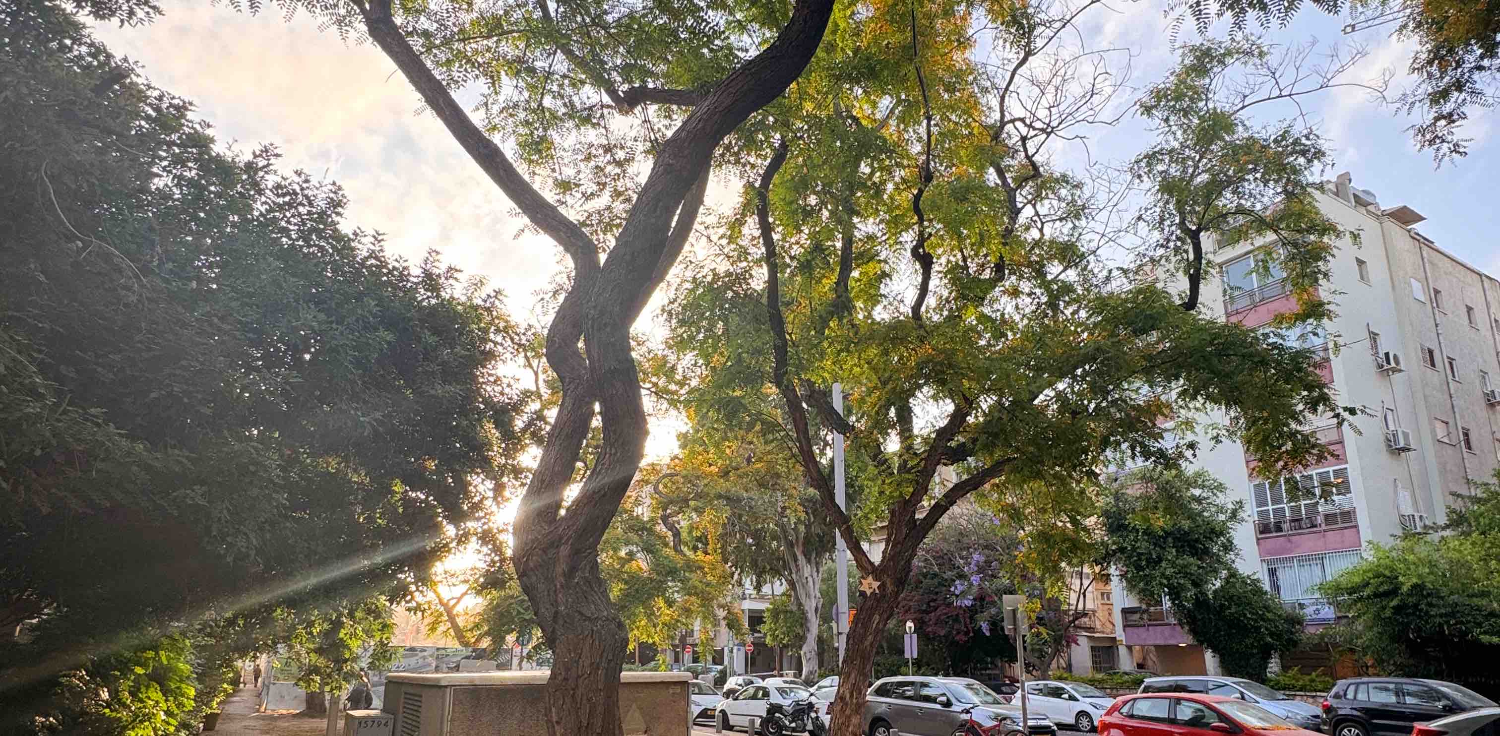 challenge background