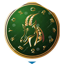 ๐ช 8000 ๐ฅ CAPRICORNE ๐ฅ icon