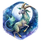 ๐10 000 ๐ CAPRICORNE ๐ icon
