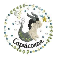 ✨ 3000 💫 CAPRICORNE 🌟 icon