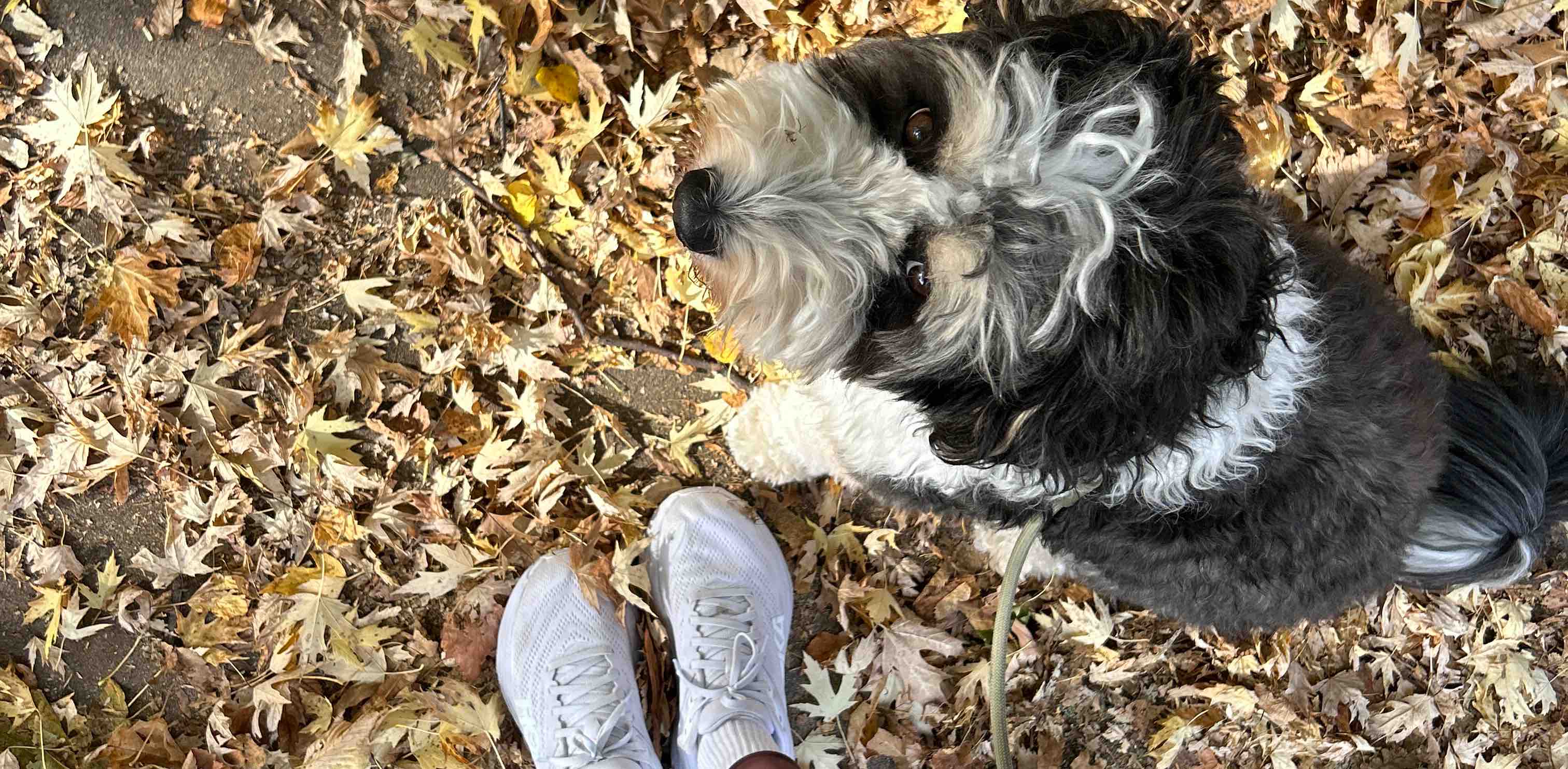 challenge background