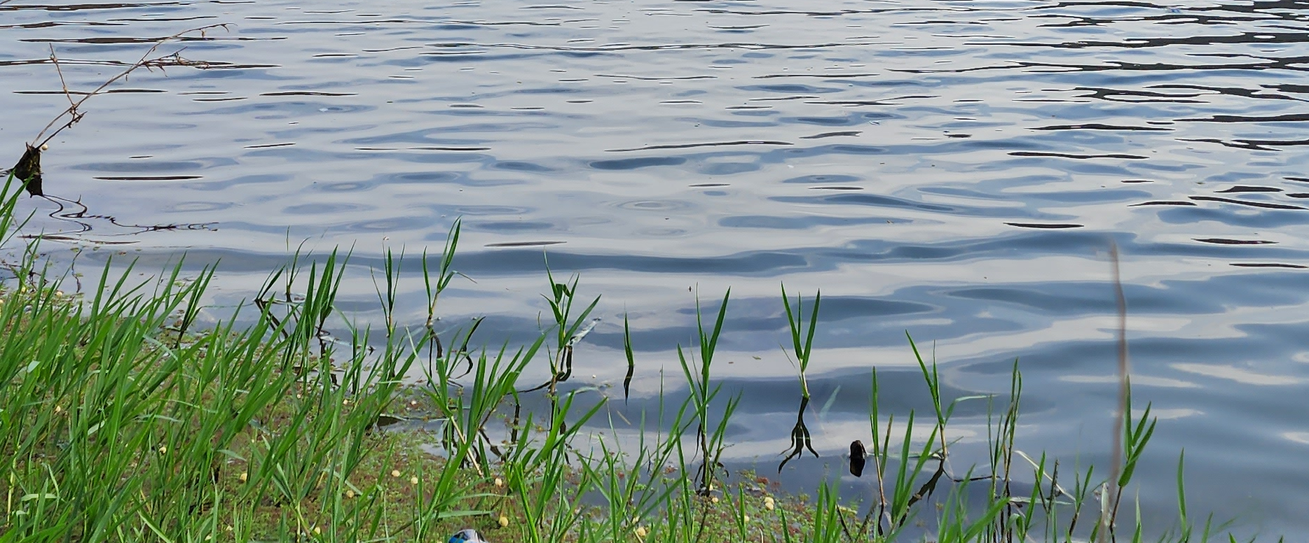 challenge background