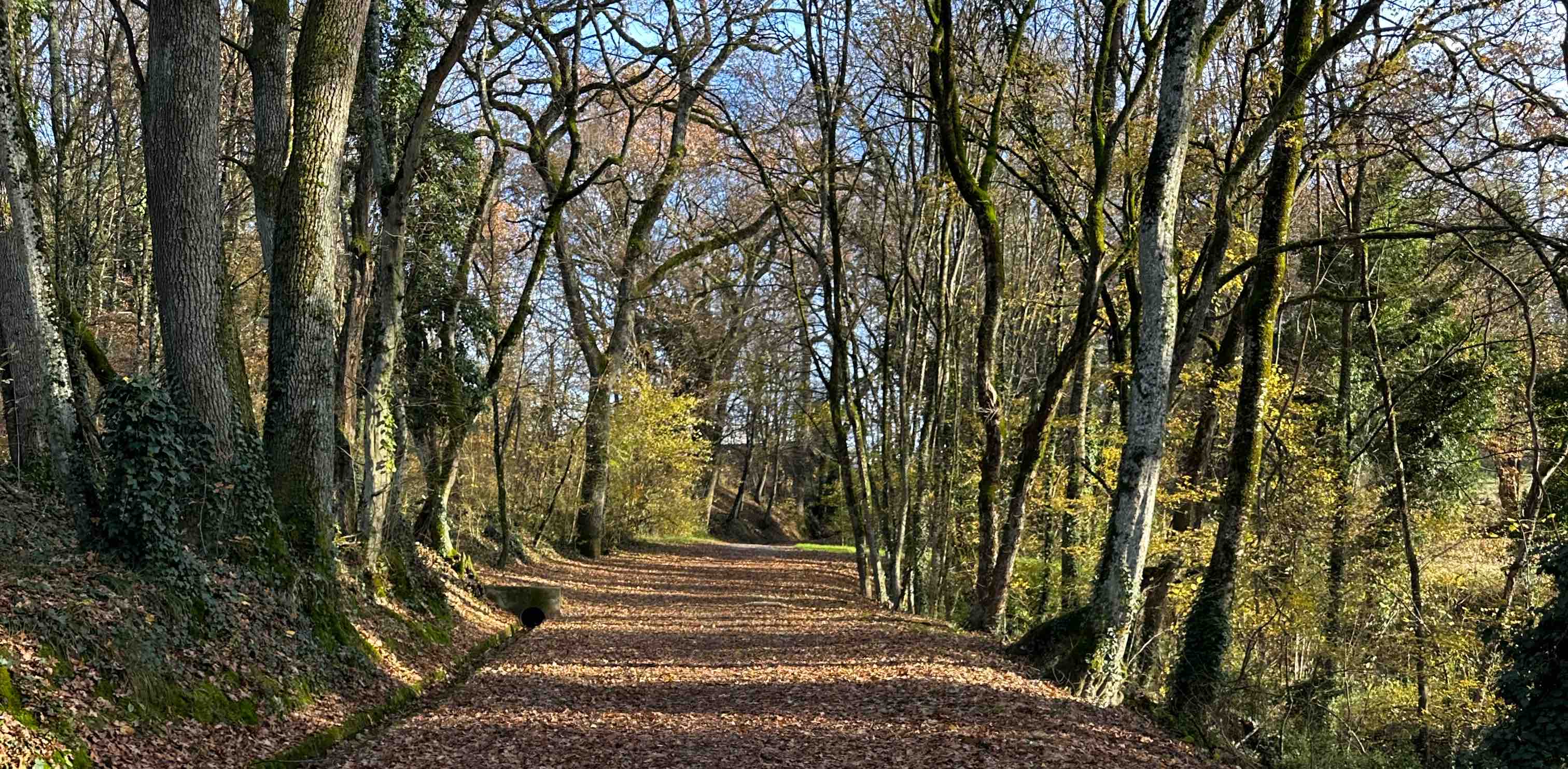 challenge background