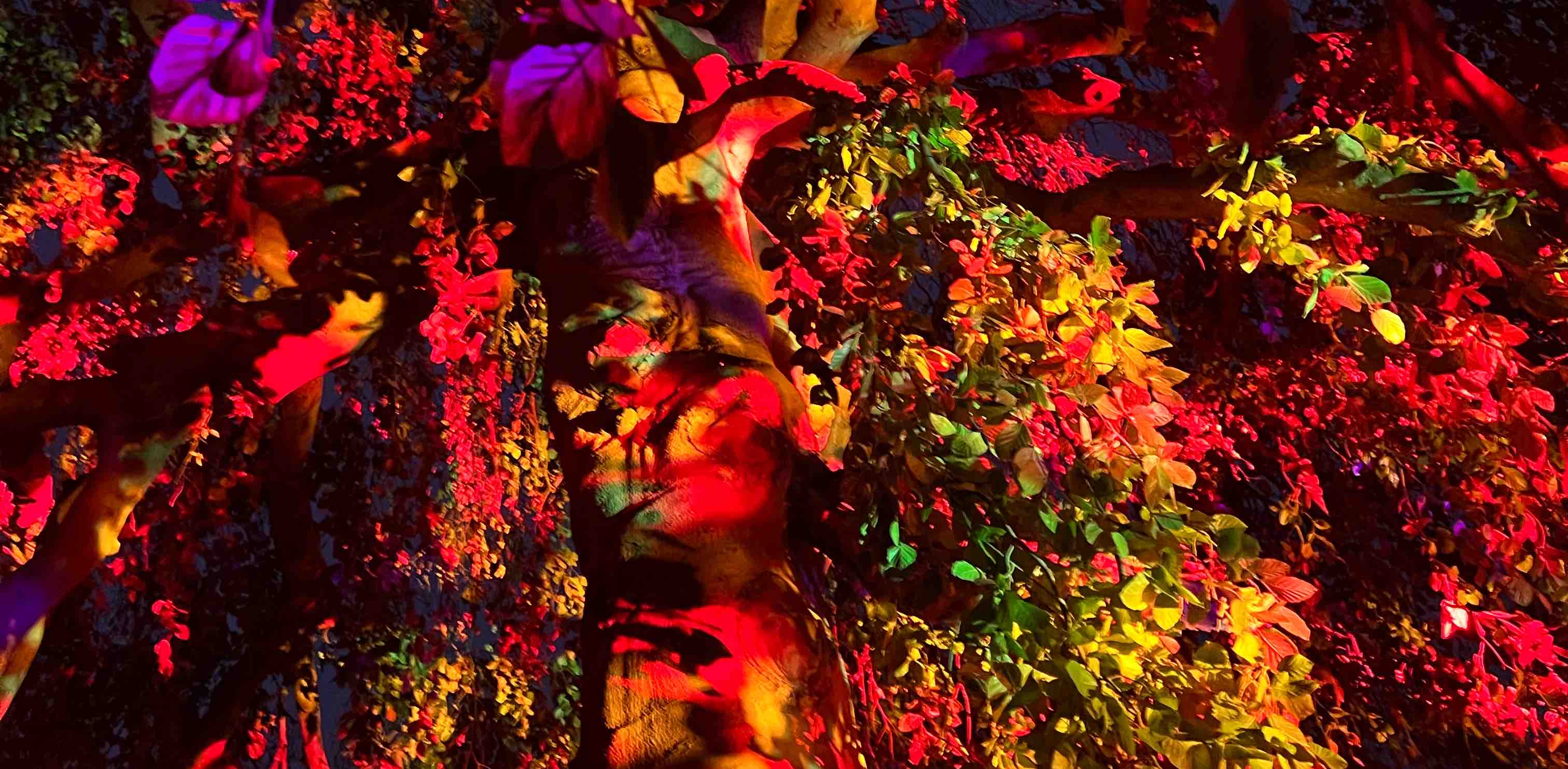 challenge background