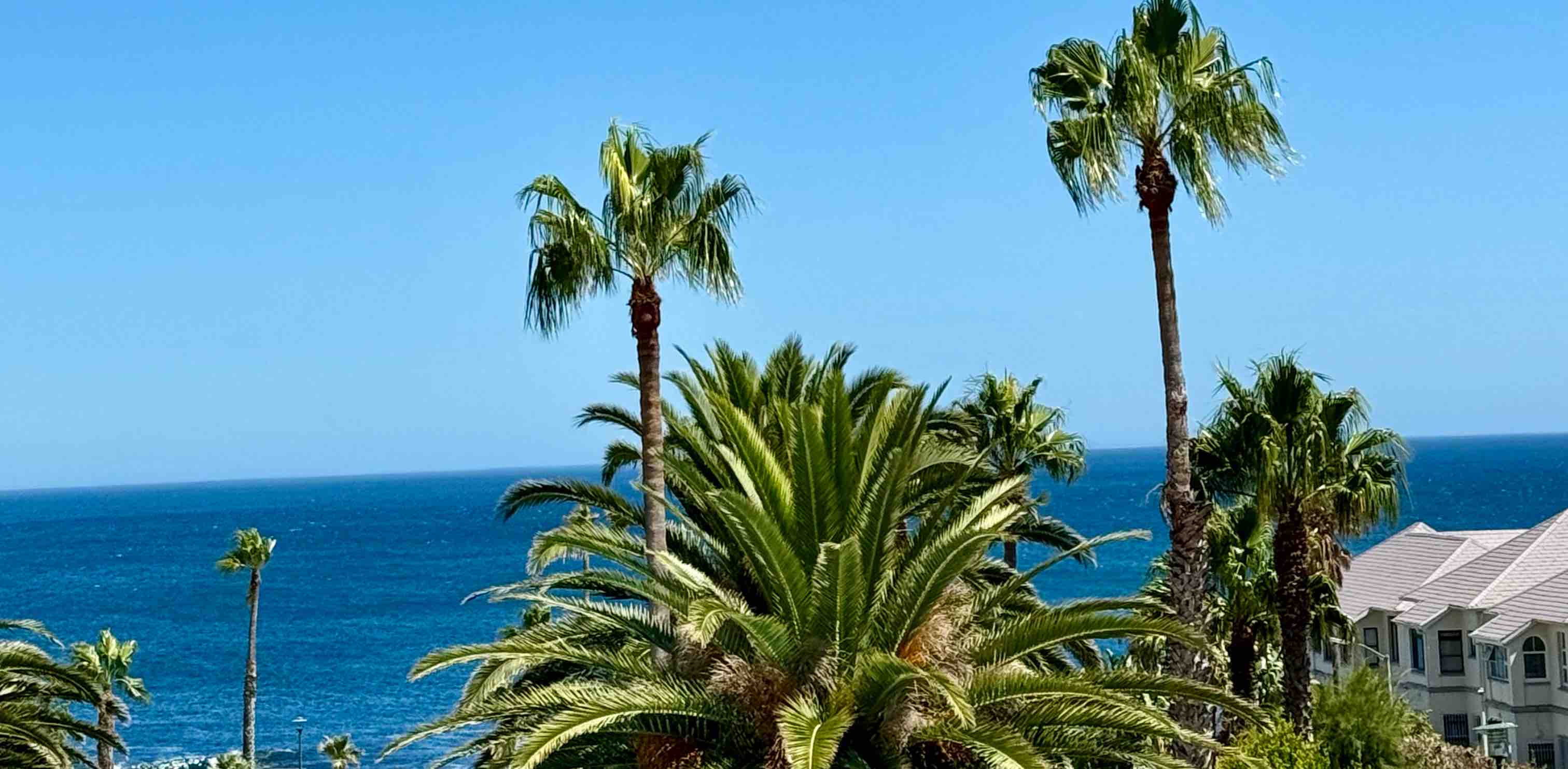 challenge background