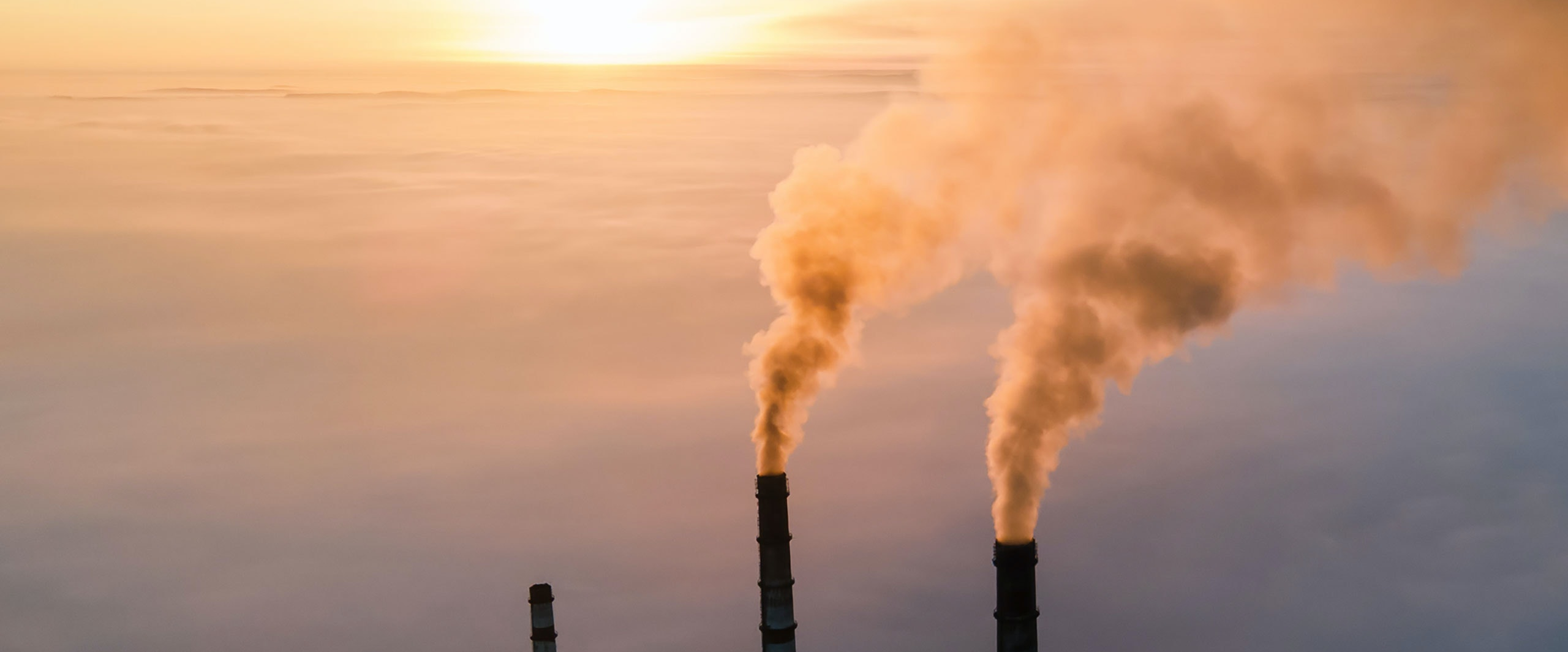 Reduce COΒ² emissions πβοΈπ³π΅ logo