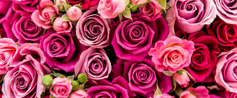 Valentine's Day 2024 β€οΈ ... logo