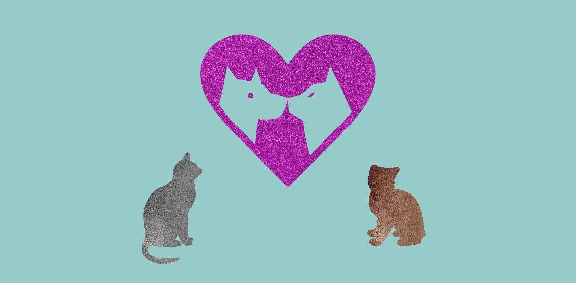 πΆ World Spay / Neuter Day π± logo