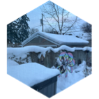 8000 steps per day icon