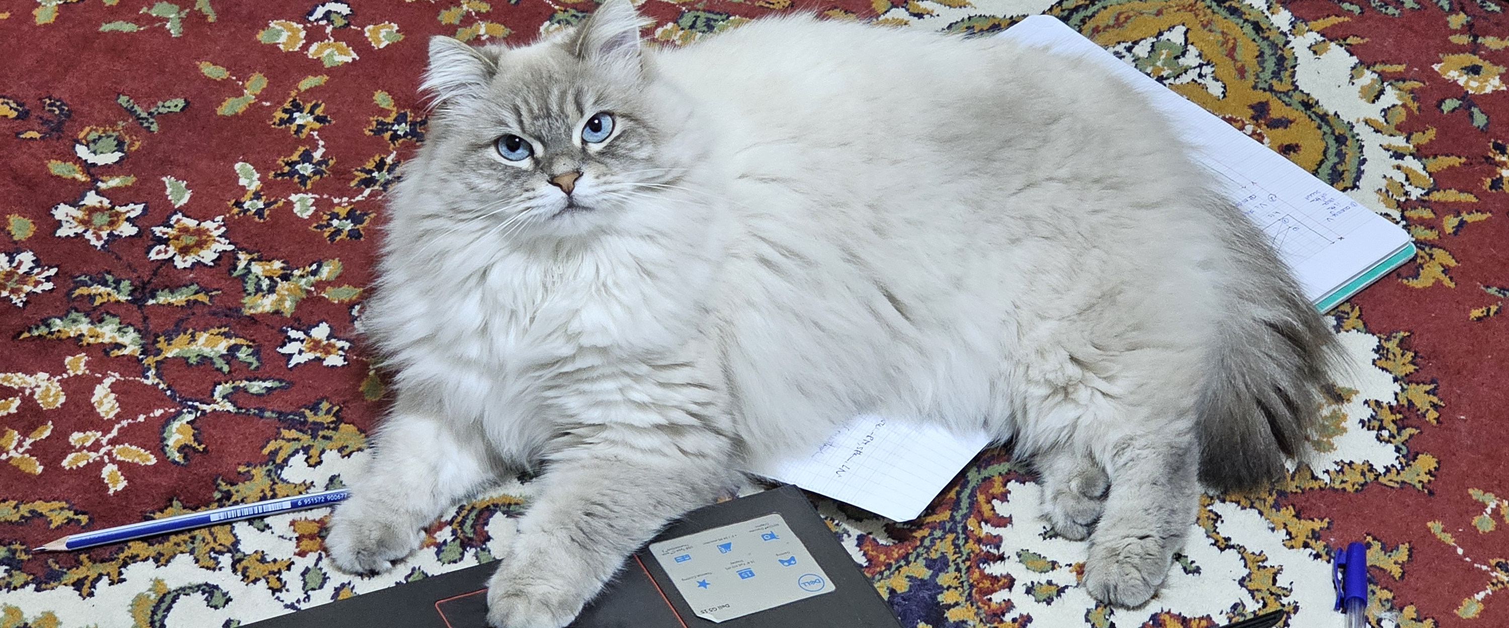 challenge background