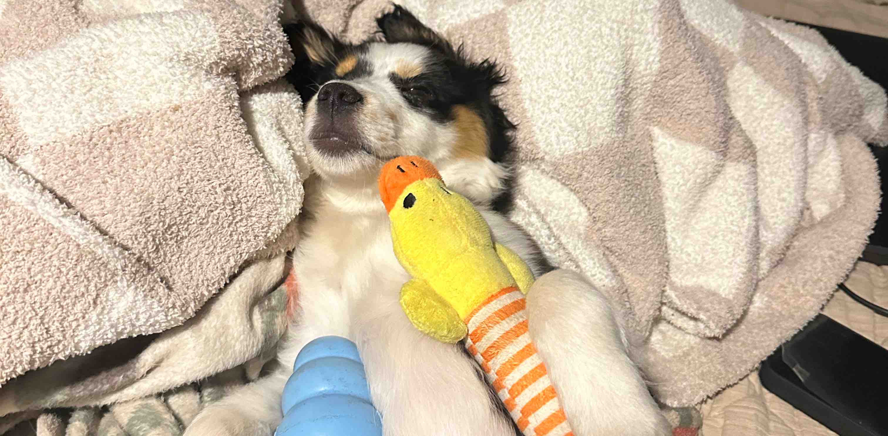 challenge background