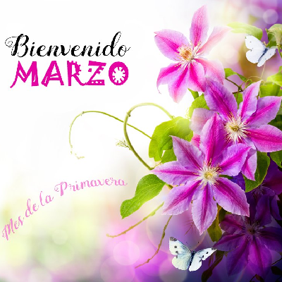Reto de Pasos en Marzo...ΒΏTe apuntas? πͺπͺπͺ Vamos icon