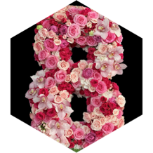 Women’s Day 8 Miles Daily Challenge icon