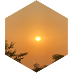March Walk icon