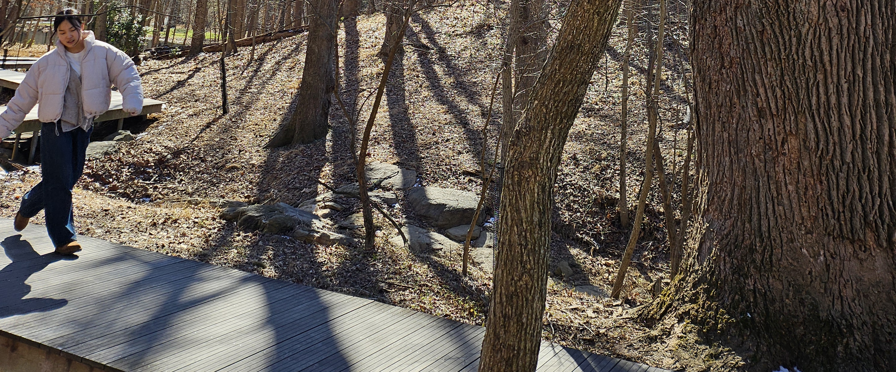 challenge background