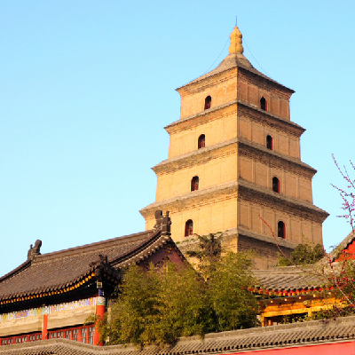 Wild Goose Pagoda ๅคง้ๅก ๐ฏ X'ian icon