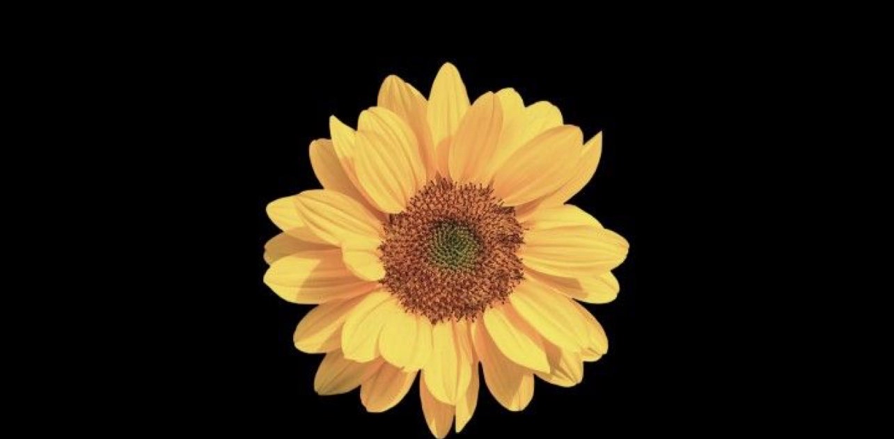 challenge background