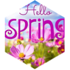 πΈπΊππ·πΌπΉ Hello Spring πΌπΈπΊππ· icon