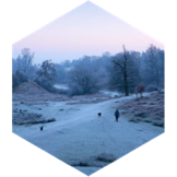 Walk into the SPRING icon