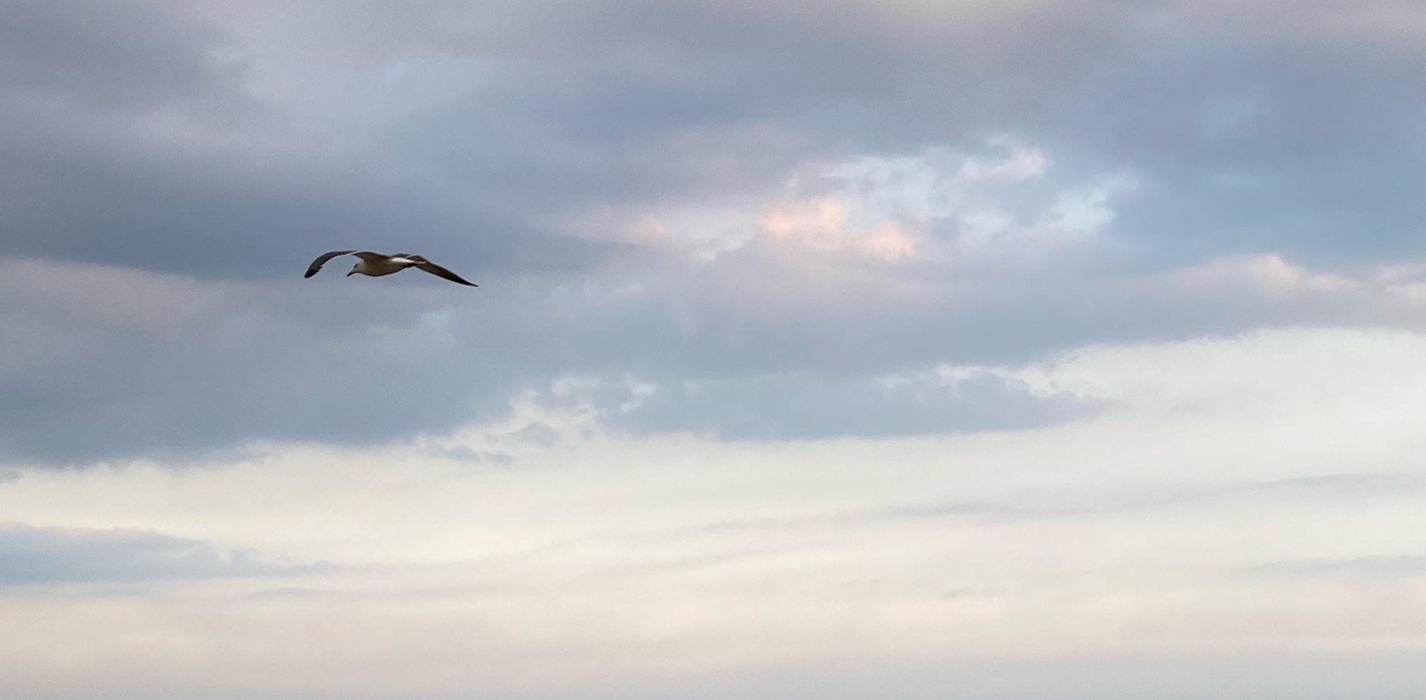 challenge background