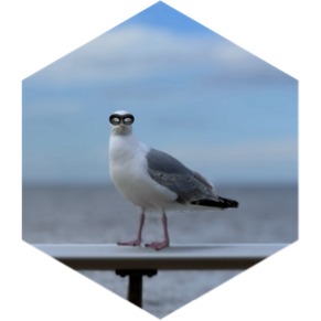 April Fools icon