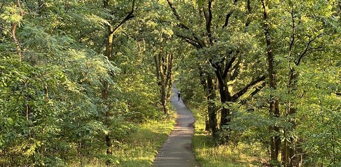 challenge background