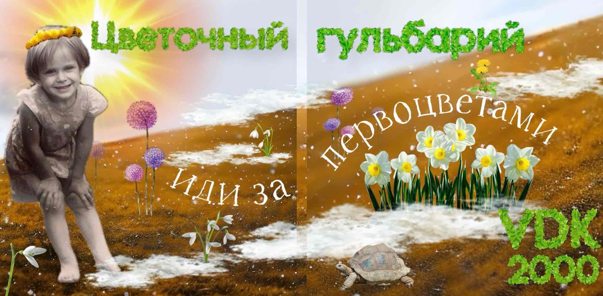 Цветочный гульбарий logo