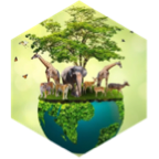 Helping Wildlife icon