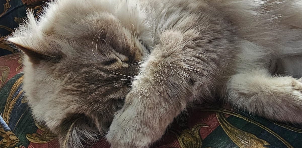 challenge background