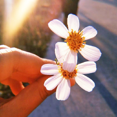 ✨️✨️Walking On Sunshine ✨️✨️ icon