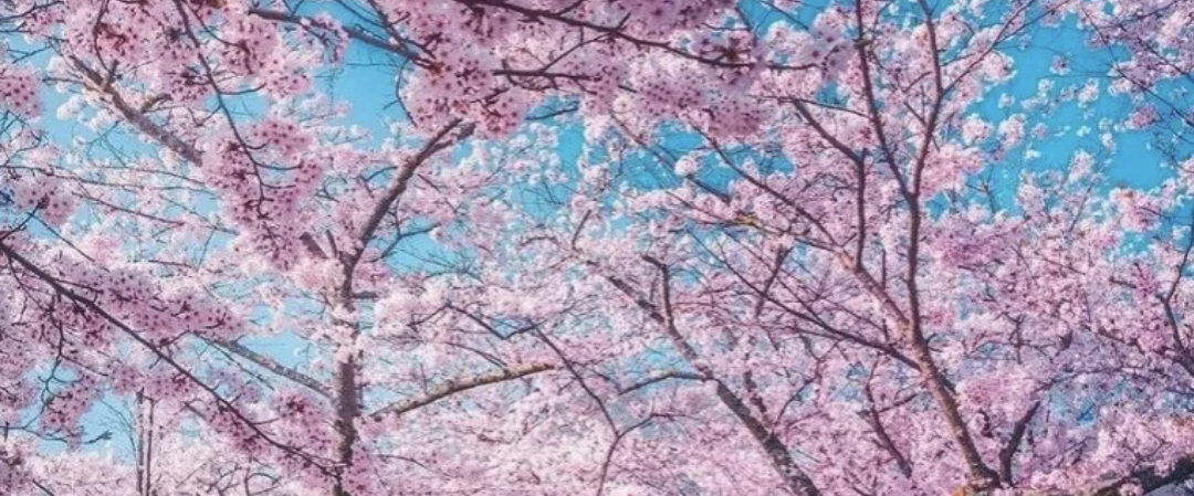 challenge background