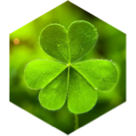St. Patrick’s Day - Walk Responsibly icon