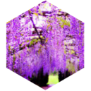 March in March icon