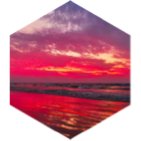 Spring into Shape icon