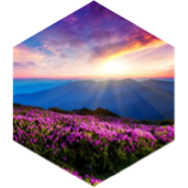 Spring Spectacular icon