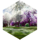 Spring Daily Stroll icon