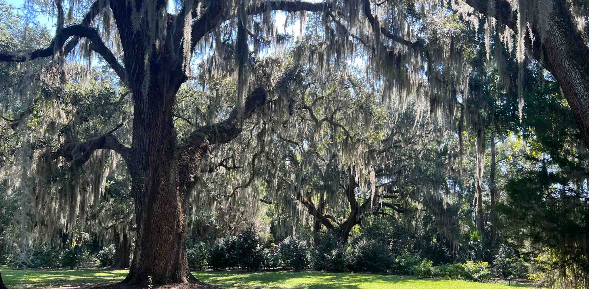 challenge background