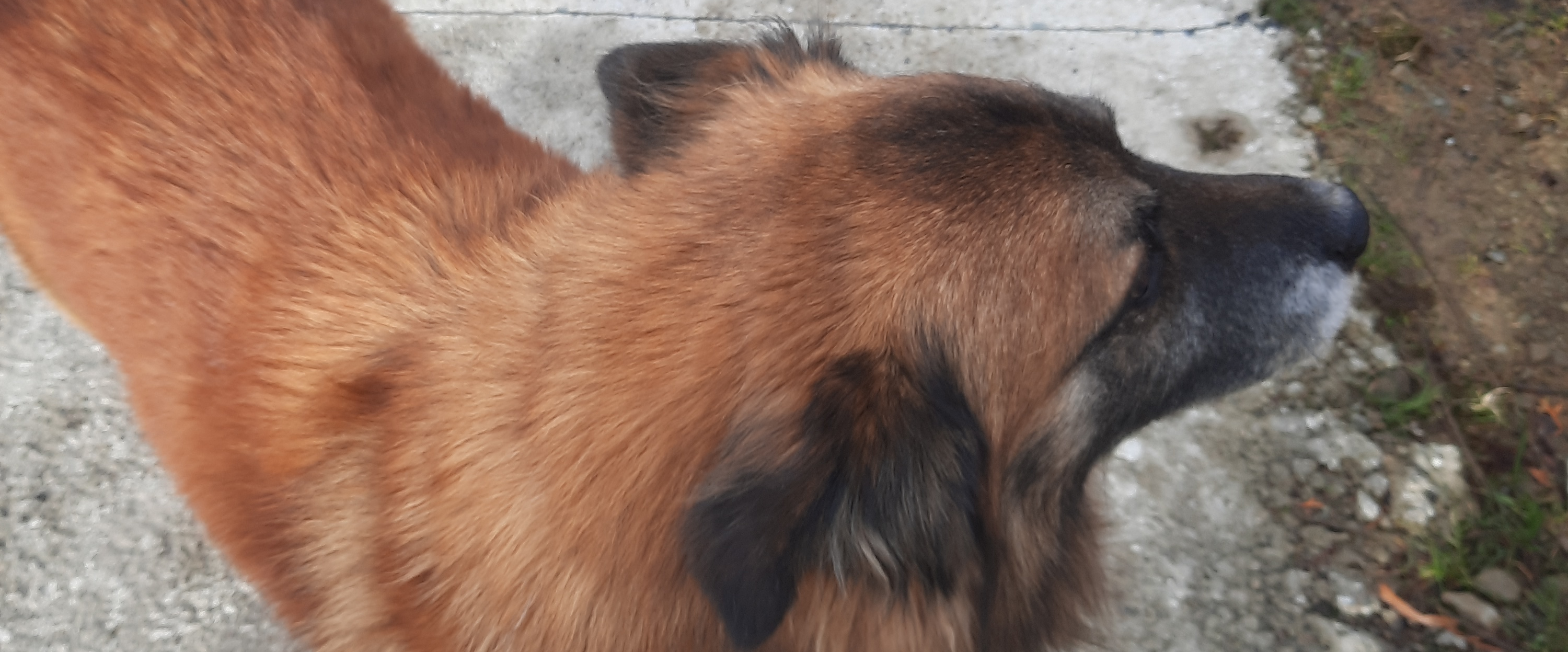 challenge background