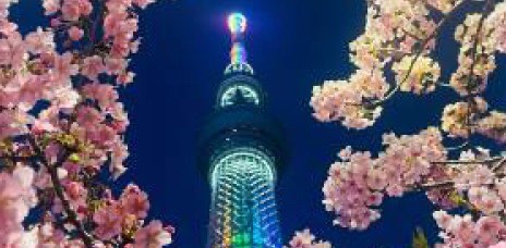 2024年 サクラサク logo
