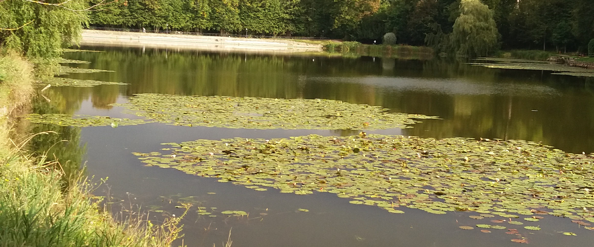 challenge background