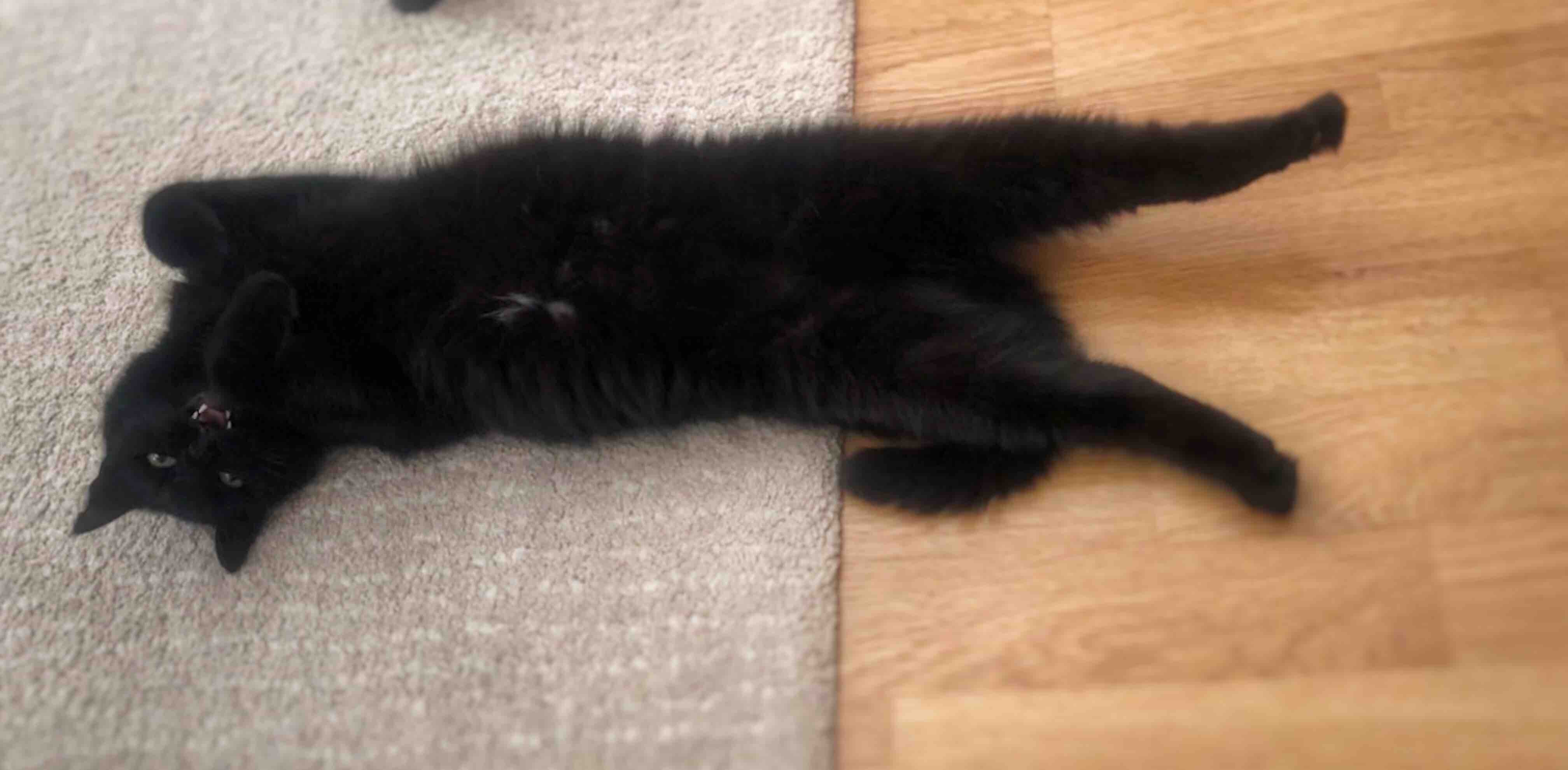 challenge background