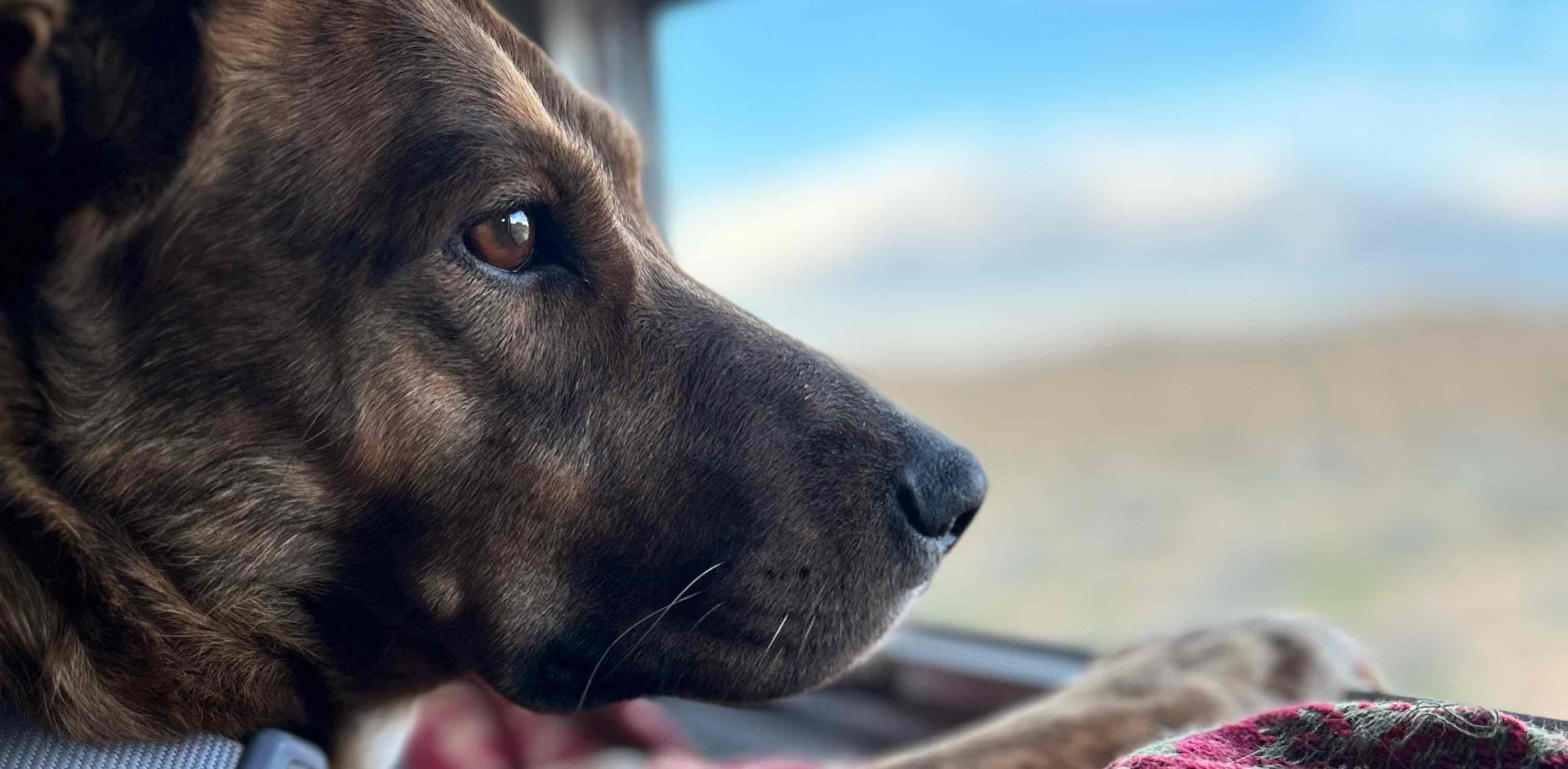 challenge background