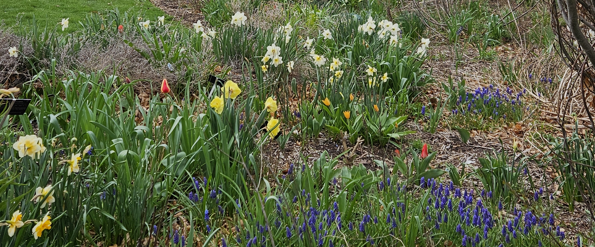 challenge background