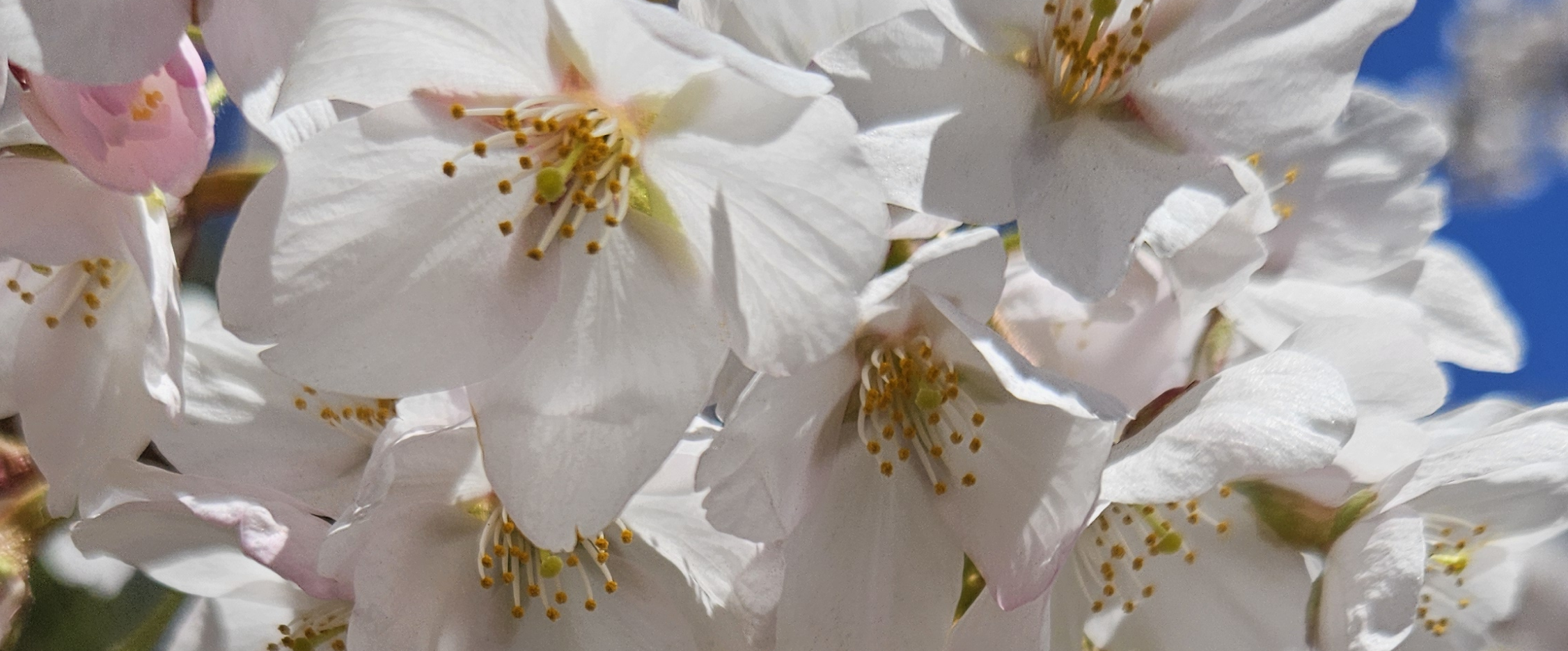 challenge background