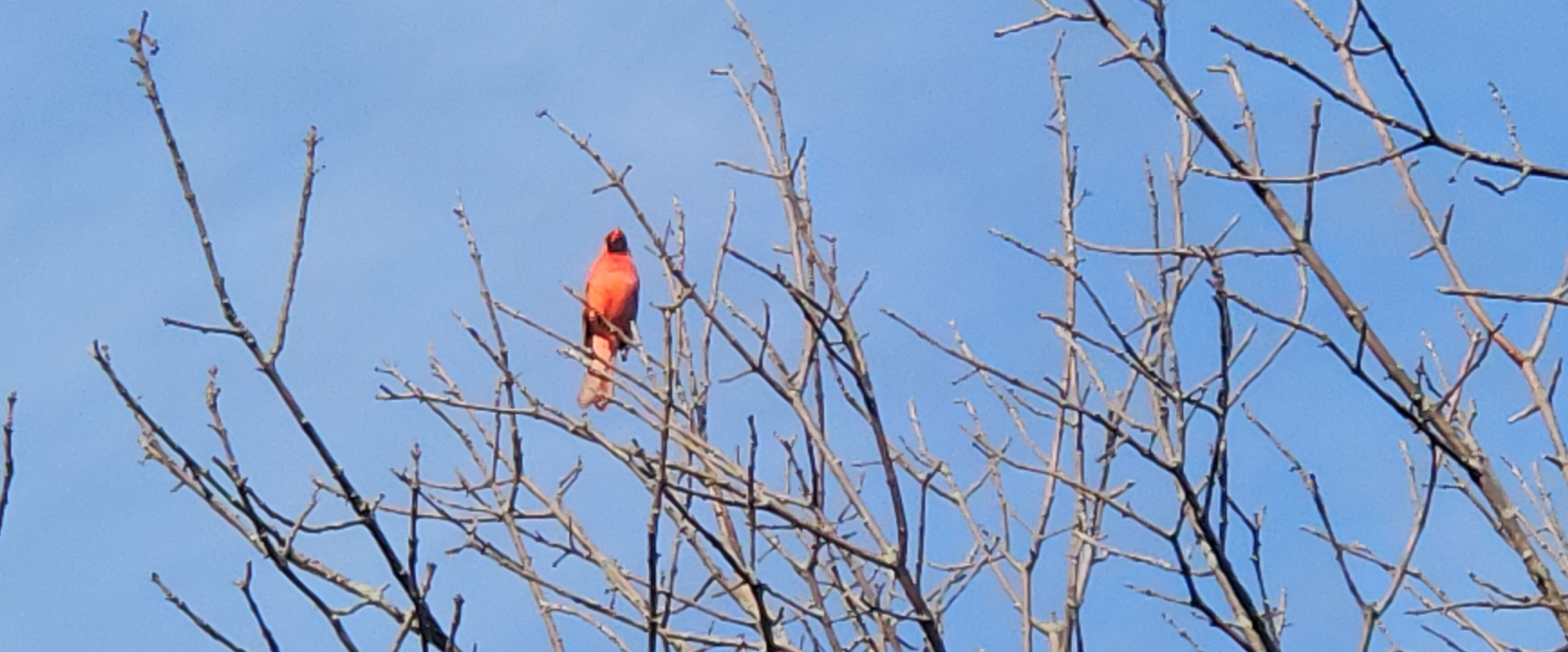 challenge background