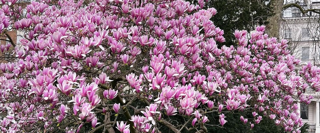 challenge background