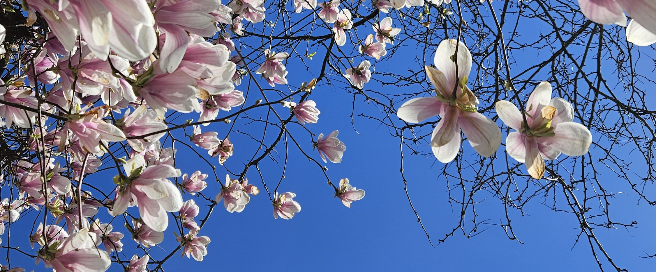 challenge background