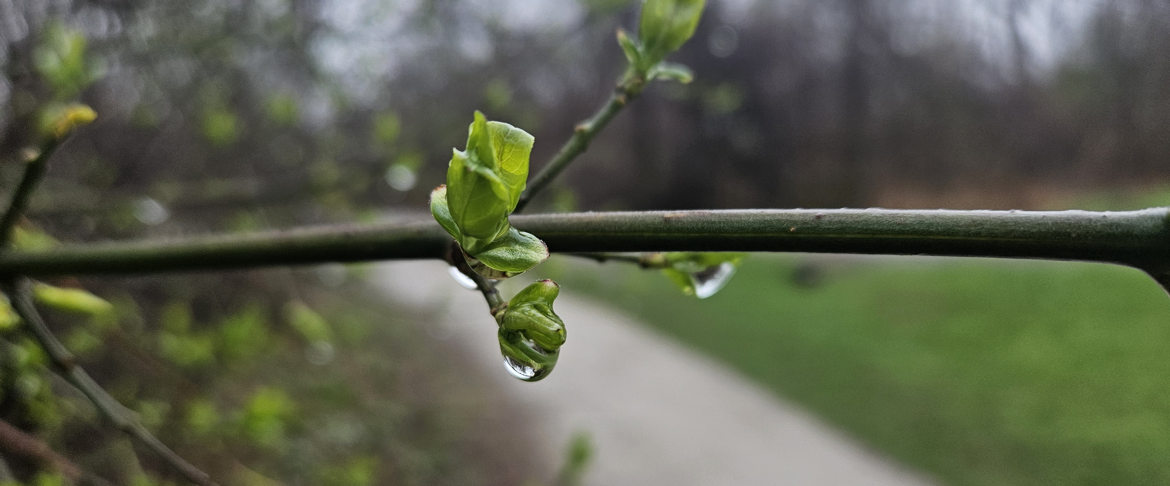 challenge background