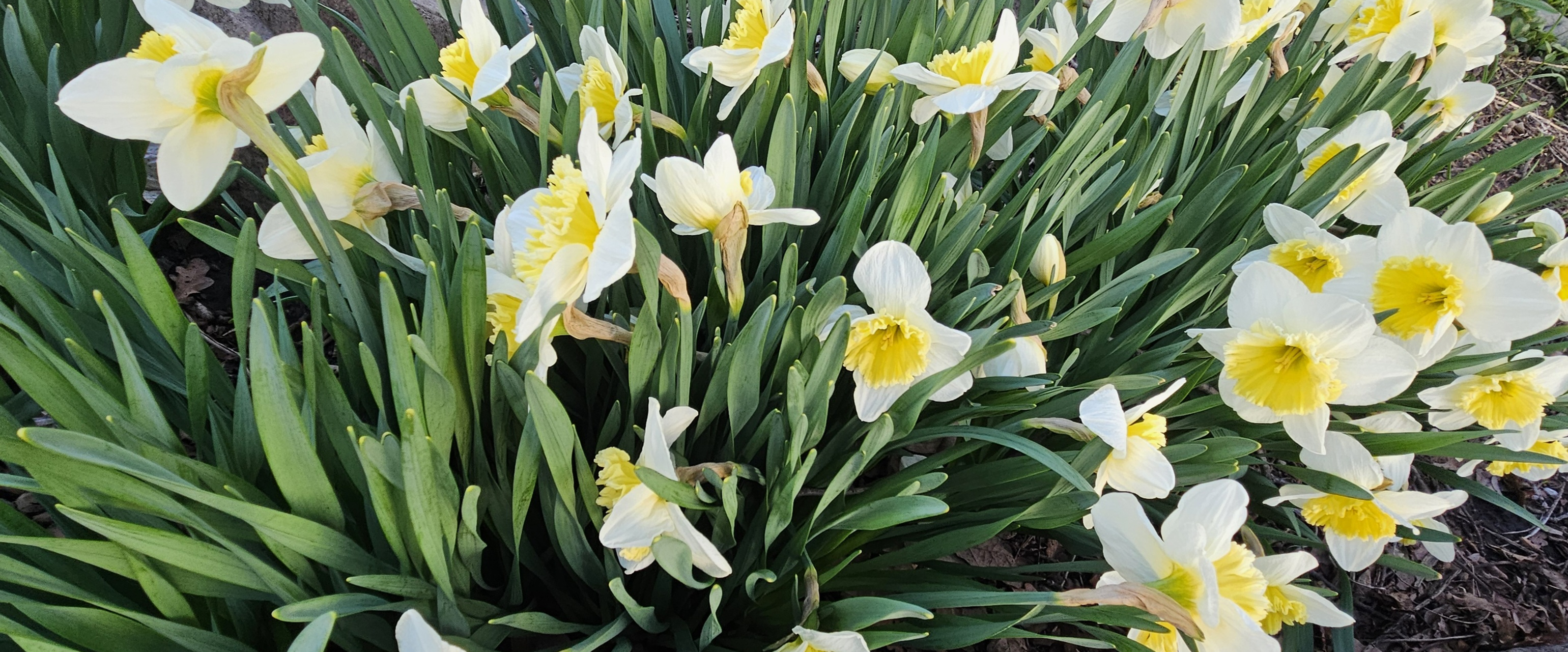 challenge background