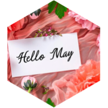 May Motivation icon